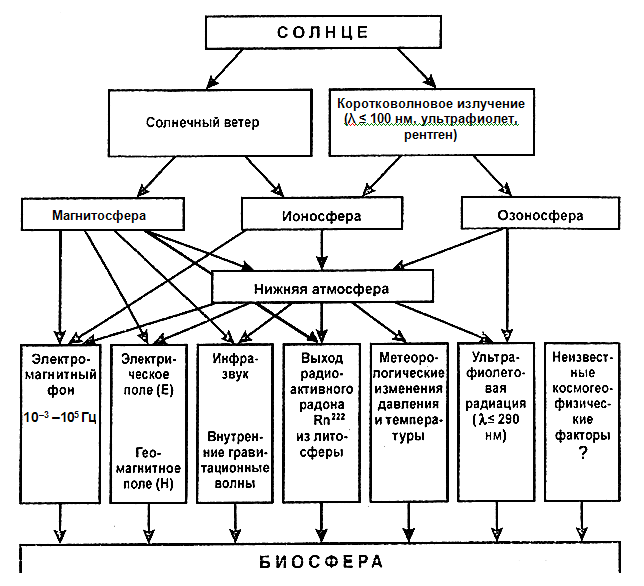 Реферат Биосфера Человек И Космос Концепция А.Л Чижевского