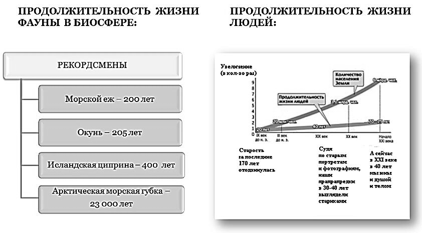 Доклад: Трансформация биосферы в ноосферу. Идеи В.И.Вернадского