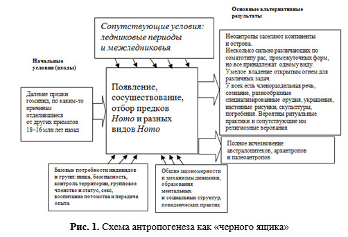 Доклад: Принцип антропогенеза