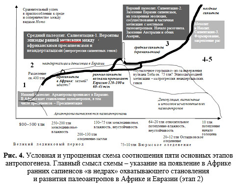 Доклад по теме Принцип антропогенеза