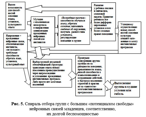 Доклад по теме Принцип антропогенеза