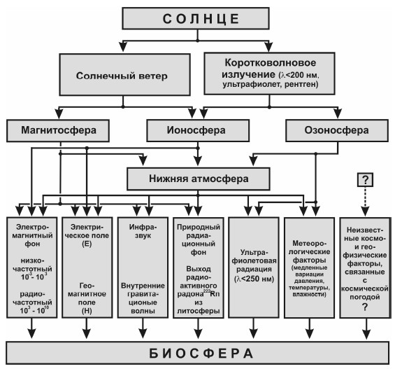 Статья: Солнечная активность и её влияние на Землю и человека